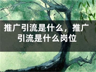 推廣引流是什么，推廣引流是什么崗位