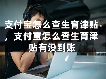 支付寶怎么查生育津貼，支付寶怎么查生育津貼有沒(méi)到賬