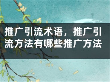 推廣引流術(shù)語，推廣引流方法有哪些推廣方法