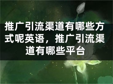 推廣引流渠道有哪些方式呢英語，推廣引流渠道有哪些平臺