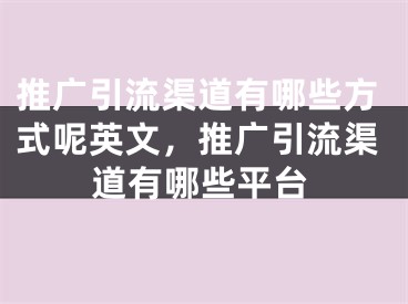 推廣引流渠道有哪些方式呢英文，推廣引流渠道有哪些平臺(tái)