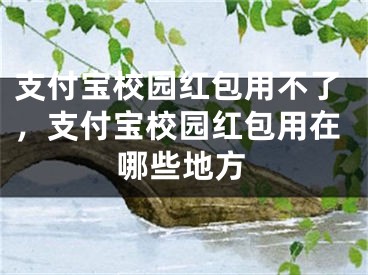 支付寶校園紅包用不了，支付寶校園紅包用在哪些地方