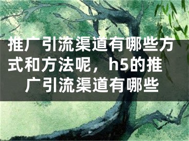 推廣引流渠道有哪些方式和方法呢，h5的推廣引流渠道有哪些