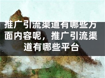 推廣引流渠道有哪些方面內(nèi)容呢，推廣引流渠道有哪些平臺