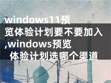 windows11預(yù)覽體驗(yàn)計(jì)劃要不要加入,windows預(yù)覽體驗(yàn)計(jì)劃選哪個(gè)渠道