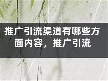 推廣引流渠道有哪些方面內(nèi)容，推廣引流