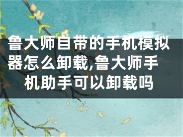 魯大師自帶的手機(jī)模擬器怎么卸載,魯大師手機(jī)助手可以卸載嗎