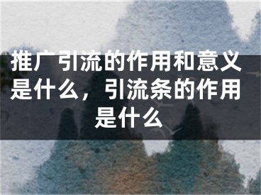 推廣引流的作用和意義是什么，引流條的作用是什么