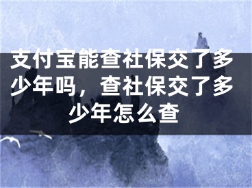 支付寶能查社保交了多少年嗎，查社保交了多少年怎么查