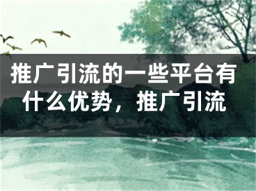 推廣引流的一些平臺有什么優(yōu)勢，推廣引流