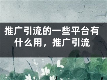 推廣引流的一些平臺(tái)有什么用，推廣引流