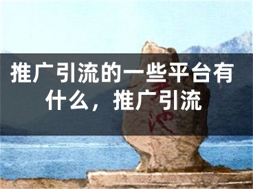 推廣引流的一些平臺(tái)有什么，推廣引流