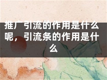 推廣引流的作用是什么呢，引流條的作用是什么