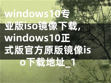 windows10專業(yè)版iso鏡像下載,windows10正式版官方原版鏡像iso下載地址_1