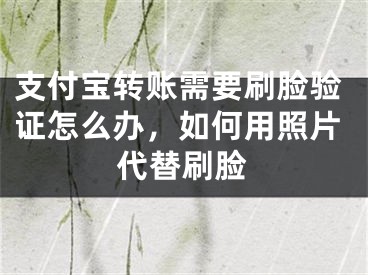 支付寶轉(zhuǎn)賬需要刷臉驗證怎么辦，如何用照片代替刷臉