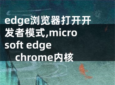 edge瀏覽器打開開發(fā)者模式,microsoft edge chrome內(nèi)核