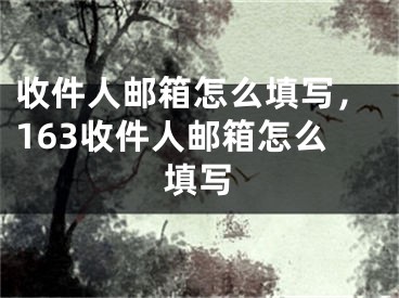 收件人郵箱怎么填寫，163收件人郵箱怎么填寫