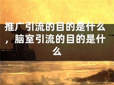 推廣引流的目的是什么，腦室引流的目的是什么