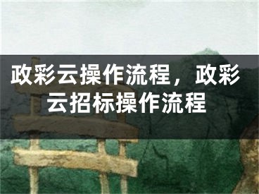 政彩云操作流程，政彩云招標操作流程