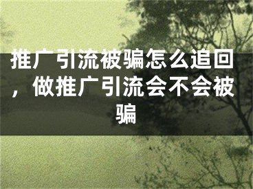 推廣引流被騙怎么追回，做推廣引流會不會被騙