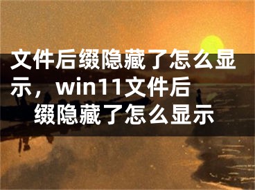 文件后綴隱藏了怎么顯示，win11文件后綴隱藏了怎么顯示