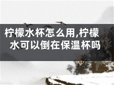 檸檬水杯怎么用,檸檬水可以倒在保溫杯嗎