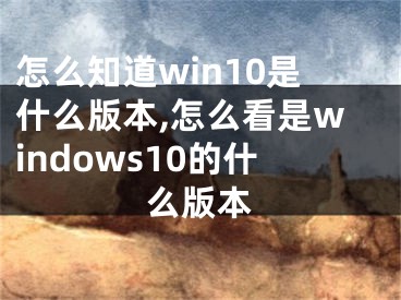 怎么知道win10是什么版本,怎么看是windows10的什么版本