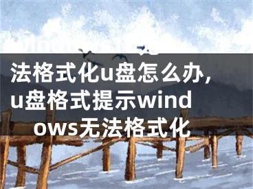 windows10無法格式化u盤怎么辦,u盤格式提示windows無法格式化