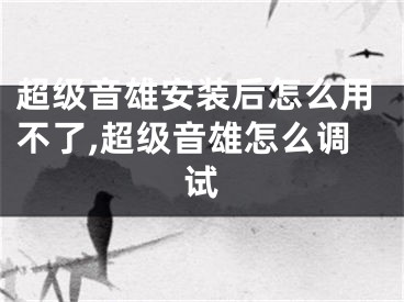 超級音雄安裝后怎么用不了,超級音雄怎么調(diào)試