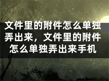 文件里的附件怎么單獨弄出來，文件里的附件怎么單獨弄出來手機