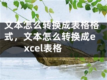 文本怎么轉換成表格格式，文本怎么轉換成excel表格