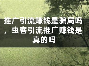 推廣引流賺錢是騙局嗎，蟲客引流推廣賺錢是真的嗎