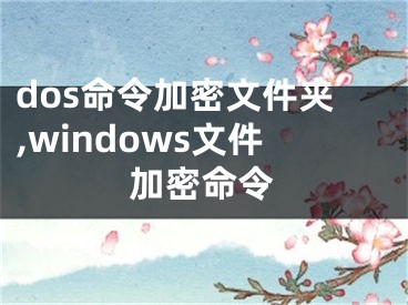 dos命令加密文件夾,windows文件加密命令