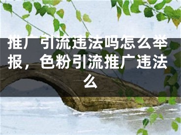 推廣引流違法嗎怎么舉報，色粉引流推廣違法么