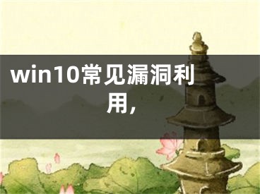 win10常見漏洞利用,