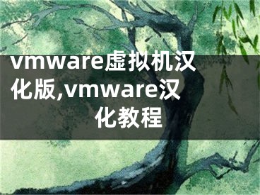 vmware虛擬機(jī)漢化版,vmware漢化教程