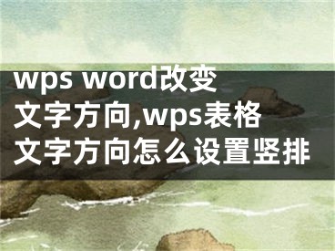 wps word改變文字方向,wps表格文字方向怎么設置豎排