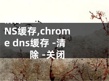 清除Chrome DNS緩存,chrome dns緩存 -清除 -關(guān)閉