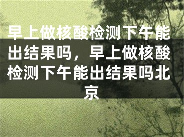 早上做核酸檢測(cè)下午能出結(jié)果嗎，早上做核酸檢測(cè)下午能出結(jié)果嗎北京