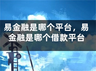 易金融是哪個(gè)平臺(tái)，易金融是哪個(gè)借款平臺(tái)