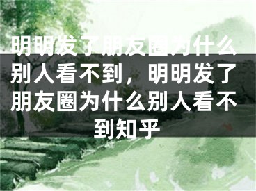 明明發(fā)了朋友圈為什么別人看不到，明明發(fā)了朋友圈為什么別人看不到知乎