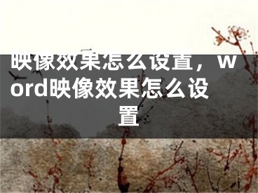 映像效果怎么設(shè)置，word映像效果怎么設(shè)置