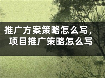 推廣方案策略怎么寫，項(xiàng)目推廣策略怎么寫