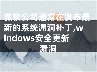 微軟公司通常在發(fā)布最新的系統(tǒng)漏洞補丁,windows安全更新漏洞