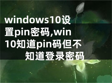 windows10設(shè)置pin密碼,win10知道pin碼但不知道登錄密碼