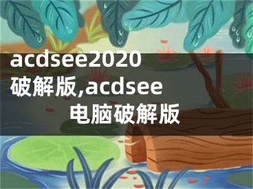 acdsee2020破解版,acdsee電腦破解版