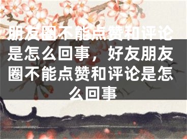 朋友圈不能點贊和評論是怎么回事，好友朋友圈不能點贊和評論是怎么回事