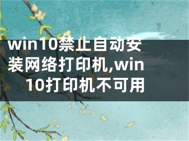 win10禁止自動安裝網(wǎng)絡(luò)打印機,win10打印機不可用