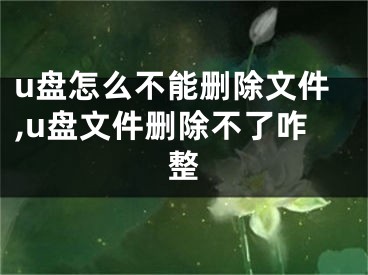 u盤怎么不能刪除文件,u盤文件刪除不了咋整