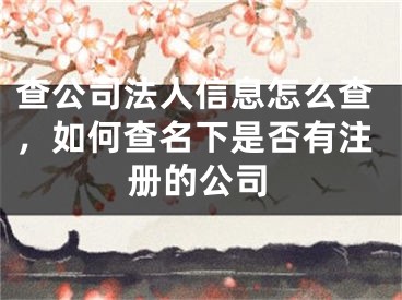 查公司法人信息怎么查，如何查名下是否有注冊的公司